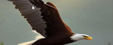 Eagle's Wings: A Flight of Dreams