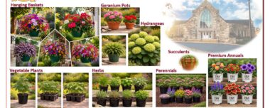 Spring Plant Sale - May 4